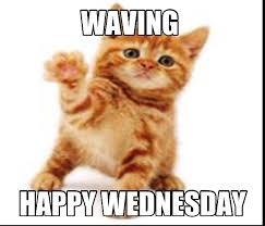 Funny Happy Wednesday Meme Jokes Puns Riddles
