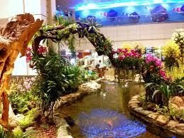 Singapore's new jewel changi airport complex has finally opened to the public. What To Do In Changi Airport For Free Things To Do While Waiting For Flight