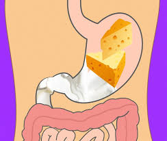 How Long Different Foods Take To Digest And Why Its