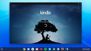 The question is how to you get these books to your kindle? How To Read Kindle Books Offline On A Chromebook Omg Chrome