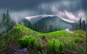 And the rain animation is easily one the best i ever seen. Wallpaper Trees Landscape China Nature Grass Sky Rain Clouds Mist Shrubs National Park Wilderness Spring Mount Scenery Rainforest Tundra Ridge Cloud Tree Leaf Vegetation Highland Mountainous Landforms Ecosystem Temperate