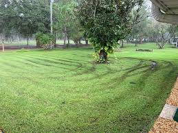 With quality lawn care, landscape, and irrigation services, agape offers a complete solution for any home landscape. I Paid Good Money For My Lawn Service To Fuck My Shit Up Wellthatsucks