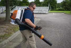 In this video i show you how to start the stihl br800 c backpack blower. Best Backpack Leaf Blower Reviews 2021 Pro Tool Reviews