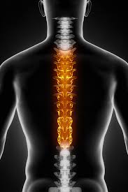 Anatomy chart courtesy of fcit. Upper Back Muscle Strain The Back And Body Clinic Specialist Physiotherapy Northampton
