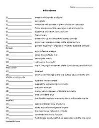 / arthropods have many land species basal animals 18 Invertebrate Zoology Quizzes Or Worksheets For Invertebrate Zoology Teachers Ideas Invertebrate Worksheets Teachers