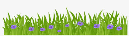 48,446 purple flower clip art images on gograph. Purple Flower Clipart Grass Cartoon Grass Transparent Background 8000x2017 Png Download Pngkit