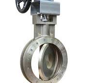 Double Offset Butterfly Valve with wafer body style - BU01