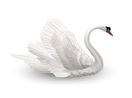 White Swan White Swan Swan Feather Graphic