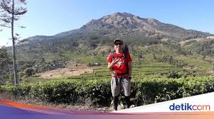 Pondok wisata umbul sidomukti resort bandungan, semarang, jawa tengah. Selamat Pagi Dari Kebun Teh Ungaran