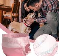 LanSuare Disposable Female Dog Diapers, Pull Up Design, High Absorbency Leak Proof, for Female Dog , Elderly, Disabled Dogs