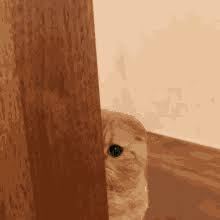 Cookie assoiated with sites using cloudflare, used to speed up page load times. Checking On You Gifs Tenor