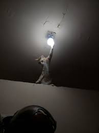 Twitter ukhti syahwat muslimah viral twitter jilbob royaltekno com from www.royaltekno.com. Ikhwan Yg Tersesat Tedy214 Twitter