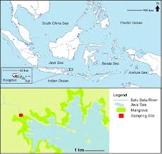 We did not find results for: Location Of Batu Batu River On Kangean Island Indonesia In The Java Sea Download Scientific Diagram