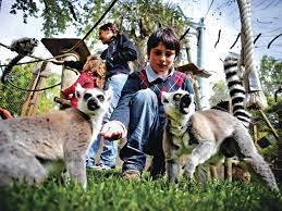 Aprecie a visão e a travessura de animais fofos e engraçados, jogando nosso novo zoológico de jogos para crianças. Jardim Zoologico De Lisboa Atraccoes Sete Rios Praca De Espanha Lisboa