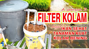 Untuk kita akan mengulasnya di lain waktu. Cara Membuat Filter Kolam Ikan Dan Aquaponik Lengkap Mudah Sederhana Hemat A Sampai Z Youtube