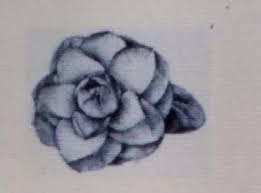 Dengan menggunakan cara ini maka akan terciptalah. Menggambar Merupakan Merupakan Salah Satu Sarana Untuk Mengekspresikan Diri Melalui Brainly Co Id