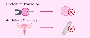 Was passiert bei der einnistung? Einnistungsstorung Des Embryos Ursachen Und Behandlung