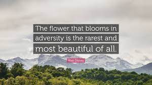 The flower that blooms in adversity quote. Walt Disney Quote The Flower That Blooms In Adversity Is The Rarest And Most Beautiful Of