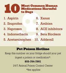 Pin On Household Meds For Pets