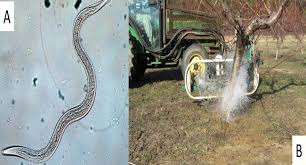 Check spelling or type a new query. Fruit And Tree Nut Research Usda Ars
