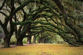 39 Awesome Nature Photos Of Incredible Places From natural faraway landscapes to familiar beach environments, these scenery pictures can take you go ahead, let your creativity roam wild with a vast curated gallery of royalty free nature photos. 39 awesome nature photos of incredible