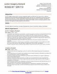 imagery analyst resume samples qwikresume