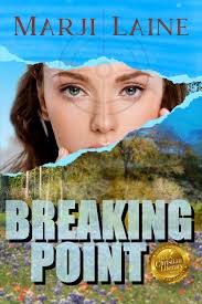 Top 20 To-Read in Christian Fiction for 2014