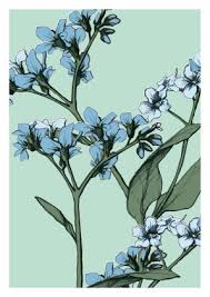 Es war anfang frühling als meine kleine schwester emily eines nachmittags zu mir kam und mich um hilfe bat: Il0122 Vergissmeinnicht Illi Postkarte Ecokiosk