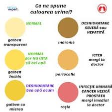 Infectia urinara nu este o boala cu transmitere sexuala. Oxiuroza Enterobioza Oxiuri Si Infectie Urinara