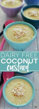 Dairy Free Coconut Custard What The Fork