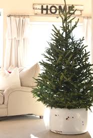 The traditional colors of christmas are pine green (evergreen), snow white. How To Transition From Christmas To Winter Decor
