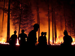 Maybe you would like to learn more about one of these? 8 Consejos Para Prevenir Incendios Forestales National Geographic En Espanol