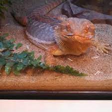 Maybe you would like to learn more about one of these? Pets Plus Northeast Philadelphia 9100 Roosevelt Blvd