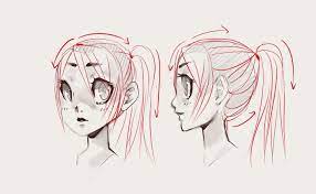 Anime Ponytail Hairstyles Straightforward Tips How To Draw Anime Ponytail Ponytail Drawing How To Draw Hair Ponytail Drawing Reference