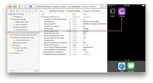 Technical Q A Qa1892 Making The App Name On A Device Consistent With The Name In Itunes Connect