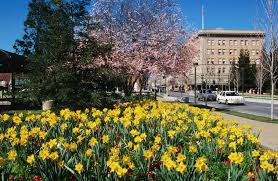 Maybe you would like to learn more about one of these? The 10 Top Things To Do In Santa Rosa California
