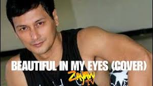 Beautiful in my Eyes by Joshua Kadison