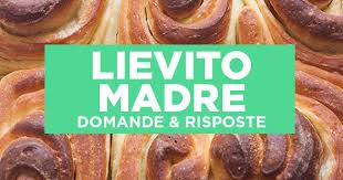 Come usare il lievito madre, ovvero, quando usarlo! Come Usare Il Lievito Madre Domande E Risposte Chezuppa