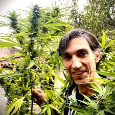 그래 난 트랜스야