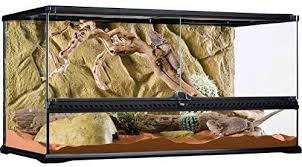 Exo Terra Glass Terrarium 36 By 18 By 18 Inch Amazon Ca Pet Supplies