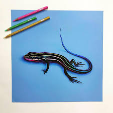 A solid drawing can stand on its own or be the foundation for a great painting. Gave This Guy Some Extra Pops Of Color What Do You Think Colored Pencil Drawing On Card Stock Drawing