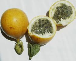 Socio Economic And Environmental Development Solutions Seeds Passion Fruit Or Sweet Granadilla Don T Eat The Rind Or Skin