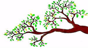 Then, make small, gentle movements that represent clusters of leaves instead of drawing individual leaves. How To Draw A Branch With Leaves Tree Drawing For Beginners Youtube