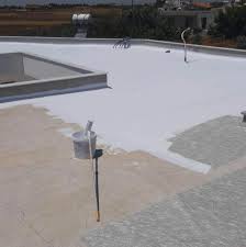 Image result for Monosis