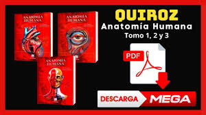 Enter the password to open this pdf file. Manual De Posiciones Y Tecnicas Radiologicas Bontrager Edicion 8 Descargar Pdf Gratis Youtube