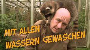 Zahn • lachen • starke • apotheke • schlecht • etwas gegen • geht • aussehen • zahnarzt. Steckbrief Waschbar Youtube