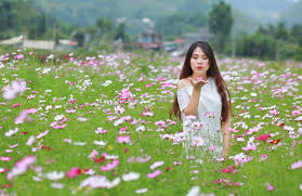 Tiêu điểm sống ảo hot nhất dịp Tết dương THÁNH ĐỊA HOA MỚI chỉ cách Hà Nội  vài tiếng đi xe | Bài viết | Foody.vn