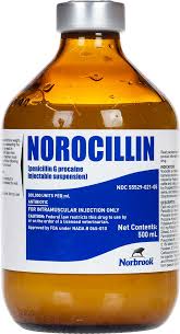 Image result for Penicillin