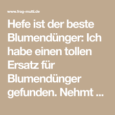 Hefe Ist Der Beste Blumendunger Frag Mutti Hefe Wurfel Hefe Pflanzen Pflege
