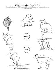 Wild Animal Or Pet Activity Animals Wild Animal Activities Animal Activities For Kids